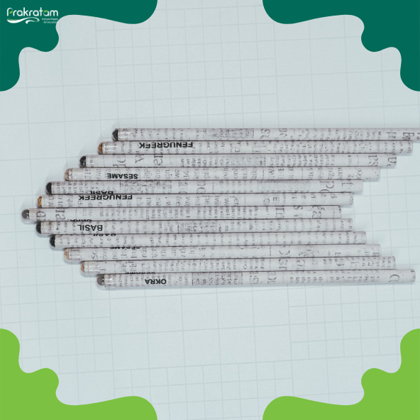 Newspaper Seeds Pencil | Eco-Friendly & Sustainable | Plantable After Use